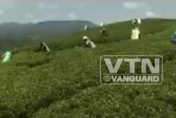 hardships-of-sri-lankas-tamil-tea-workers
