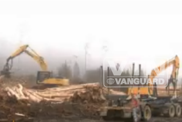 tasmanian-deforestation-threat